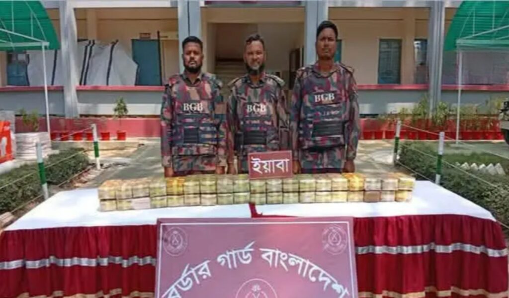 কক্সবাজারের উখিয়ায় বিজিবির অভিযানে ৩ লাখ ৮০ হাজার ইয়াবা উদ্ধার