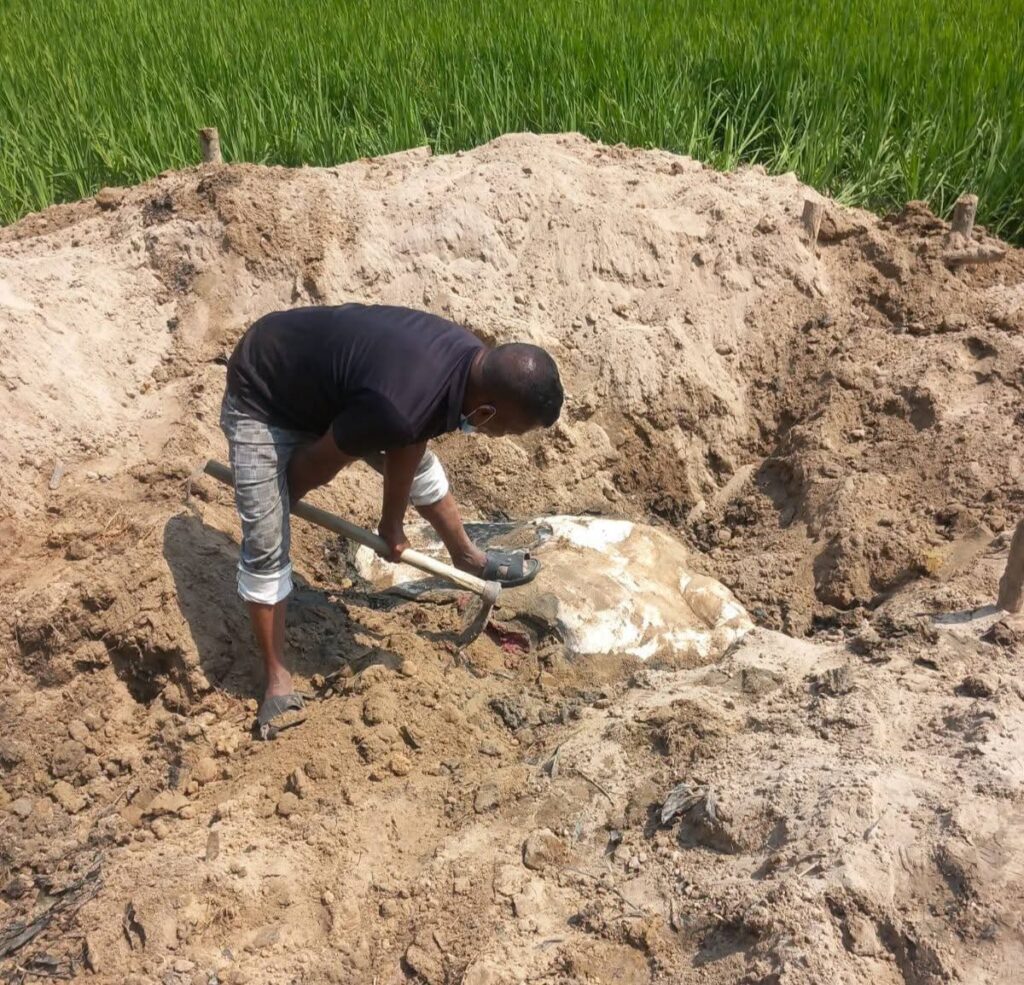 চকরিয়ায় বন্য হাতি হত্যা করে মাটিচাপা, ঝুপড়ি ঘর বানিয়ে আড়ালের চেষ্টা