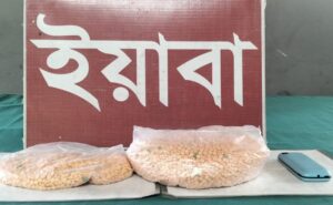 কক্সবাজারের রামুতে বিজিবির অভিযানে ইয়াবাসহ রোহিঙ্গা নারী-পুরুষ আটক 