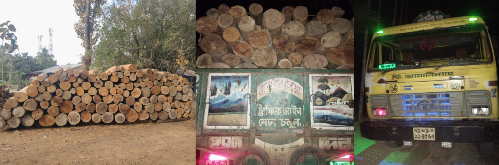 দীঘিনালায় সেনা অভিযানে ১৮ লাখ টাকার অবৈধ কাঠ জব্দ, বন বিভাগের কাছে হস্তান্তর