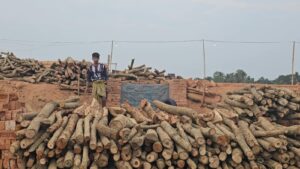 পরিবেশ বিধ্বংসী কর্মকান্ড: বান্দরবানে ৫টি অবৈধ ইটভাটা মালিকের বিরুদ্ধে গ্রেফতারী পরোয়ানা জারি