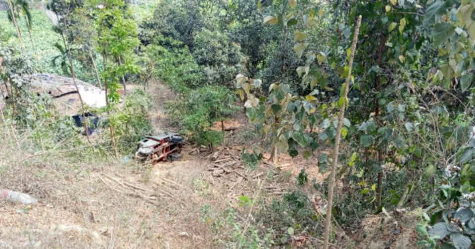 বান্দরবানের লামায় কাঠ বোঝাই ট্রাক গভীর খাদে পড়ে চালক-হেলপার নিহত