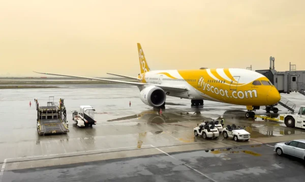 অস্ট্রেলিয়াগামী বিমানে নারীকে ধর্ষণের অভিযোগে এক ভারতী যাত্রী গ্রেপ্তার