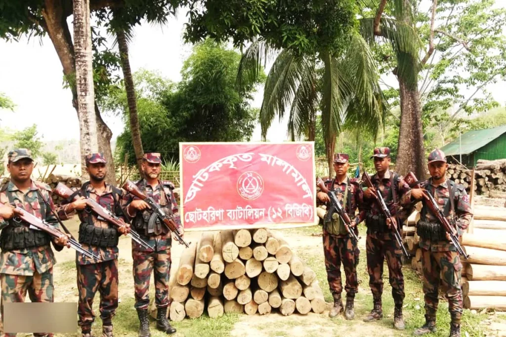 রাঙামাটির বরকলে বিজিবির অভিযানে সেগুন কাঠ উদ্ধার
