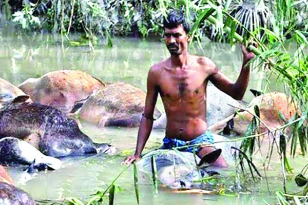 আজ ভয়াল ২৯ এপ্রিল, বাংলাদেশের উপকূলবাসীর স্বজন হারানোর দিন