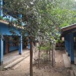 বান্দরবানের লামায় তীব্র গরমে ১৮ শিক্ষার্থী হিটস্ট্রোকে অসুস্থ