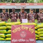 সীমান্তে গবাদিপশু ও মাদকসহ ৩৬ লাখ টাকার ভারতীয় পণ্য জব্দ করল বিজিবি