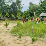 কক্সবাজারের রামুতে বন্য হাতির আক্রমণে রোহিঙ্গা মা-মেয়ের মৃত্যু