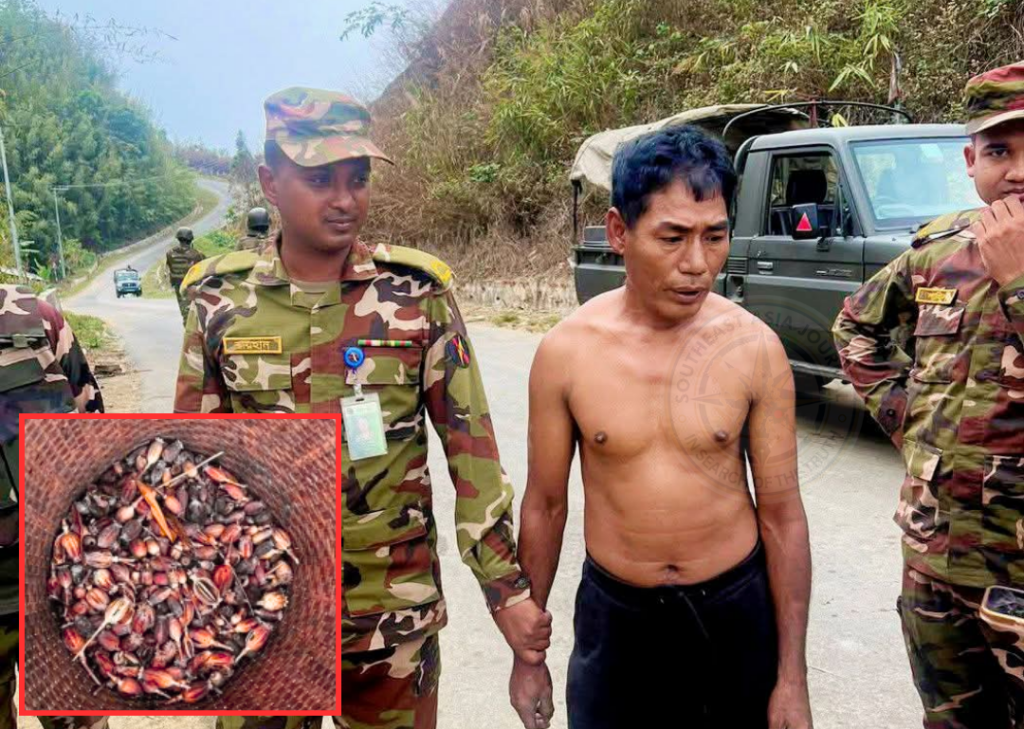 আলীকদম-থানচি সড়কে অভিযান: আফিম বীজসহ চাষী আটক, সশস্ত্র গোষ্ঠীর যোগসাজশের অভিযোগ