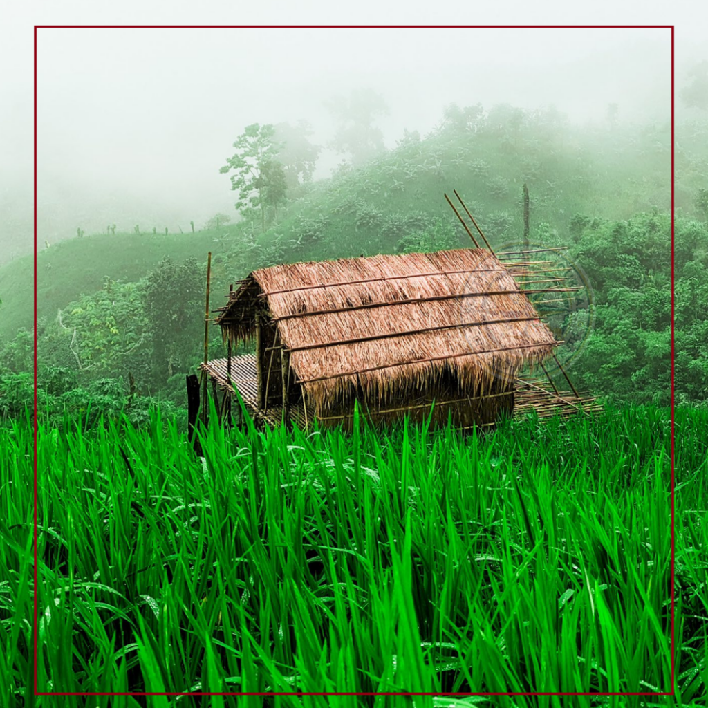 পাহাড়ে অপপ্রচারের নতুন অস্ত্র: গুজব, বিভ্রান্তি ও রাষ্ট্রবিরোধী বয়ান