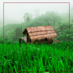 পাহাড়ে অপপ্রচারের নতুন অস্ত্র: গুজব, বিভ্রান্তি ও রাষ্ট্রবিরোধী বয়ান