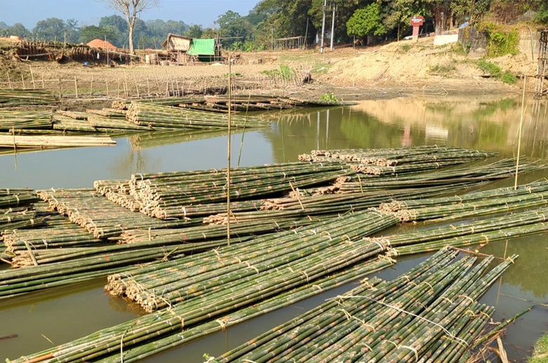 ‘সবুজ সোনা’য় ভর করে এগোচ্ছে রাঙামাটি, বাঁশে জমজমাট পাহাড়ের অর্থনীতি