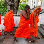 শ্রীলঙ্কার বিমানবন্দরে নজিরবিহীন মাদক জব্দ, ১১০ কেজি গাঁজা ও হাশিশসহ ২২ ভিক্ষু আটক