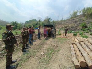 সাজেকের শুকনাছড়িতে সেনাবাহিনী ও বন বিভাগের যৌথ অভিযানে চোরাই সেগুন কাঠ জব্দ
