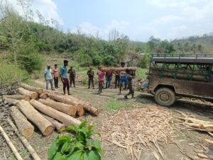 সাজেকের শুকনাছড়িতে সেনাবাহিনী ও বন বিভাগের যৌথ অভিযানে চোরাই সেগুন কাঠ জব্দ
