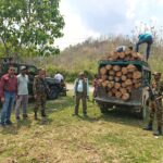 সাজেকের শুকনাছড়িতে সেনাবাহিনী ও বন বিভাগের যৌথ অভিযানে চোরাই সেগুন কাঠ জব্দ