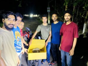 কাপ্তাইয়ে বিদ্যুতায়িত হয়ে আহত বিপন্ন লজ্জাবতী বানর উদ্ধার, পরে অবমুক্ত