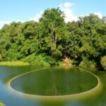 কাপ্তাই হ্রদে তিন মাসের মাছ ধরা নিষেধাজ্ঞা শুরু আজ মধ্যরাত থেকে