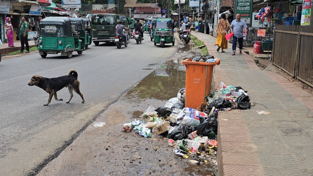ডাম্পিং স্টেশন ঘিরে জট, রাঙামাটিতে দুই দিনেও সরেনি শহরের ময়লা