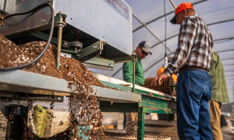 মধ্যপ্রাচ্য যুদ্ধের প্রভাবে ভারতে সার উৎপাদন কমেছে প্রায় এক-চতুর্থাংশ