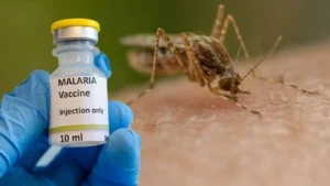 পাহাড় থেকে ম্যালেরিয়ায় আক্রান্ত হয়ে রোগী আসছে সমতলে