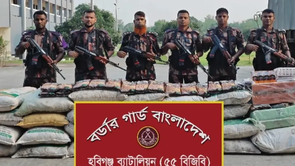 হবিগঞ্জে ২ কোটি টাকার ভারতীয় নিষিদ্ধ ঔষধ ও ফুচকা জব্দ করল বিজিবি