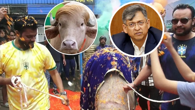 স্বরাষ্ট্রমন্ত্রীর হস্তক্ষেপে রক্ষা পেল ‘ডোনাল্ড ট্রাম্প’, ফিরল খামারে