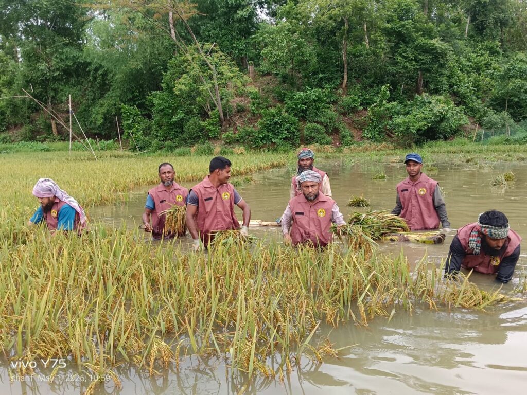 ঝড়ের ক্ষতিতে কৃষকের পাশে আনসার-ভিডিপি, পানিতে ডোবা ধান কাটছে স্বেচ্ছাশ্রমে