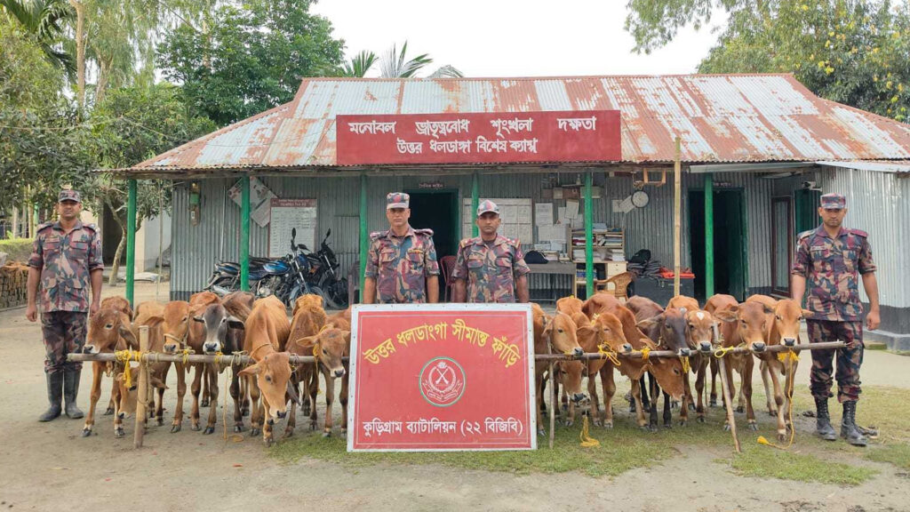 কুড়িগ্রাম সীমান্তে গরু-মাদকসহ ২৪ লাখ টাকার ভারতীয় পণ্য জব্দ করল বিজিবি