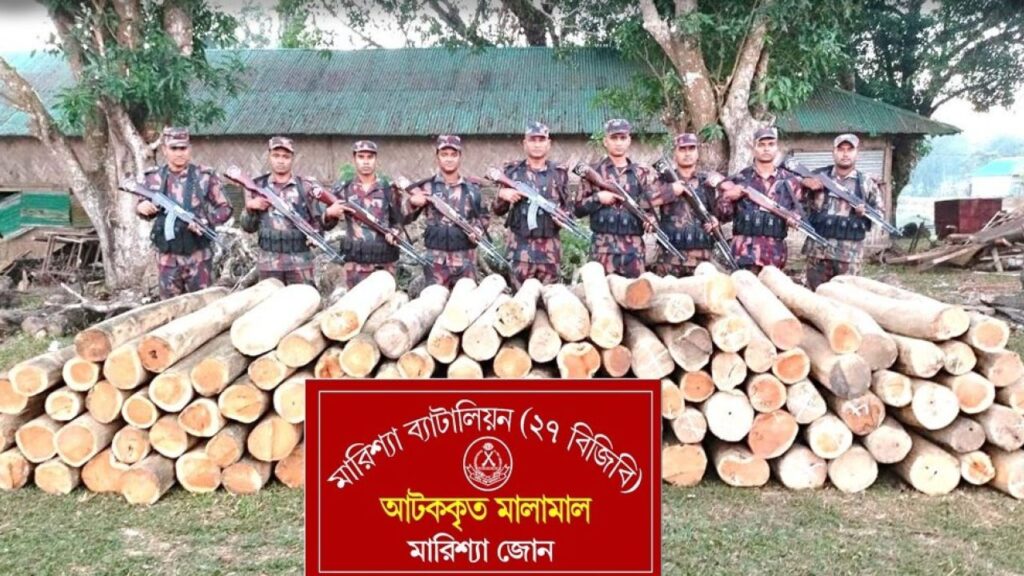 বাঘাইছড়িতে বিজিবির অভিযানে বিপুল অবৈধ সেগুন কাঠ জব্দ