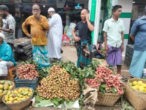 মাটিরাঙ্গার পাহাড়ি লিচুর কদর দেশজুড়ে