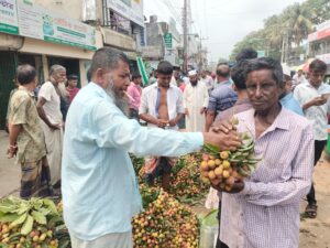 মাটিরাঙ্গার পাহাড়ি লিচুর কদর দেশজুড়ে