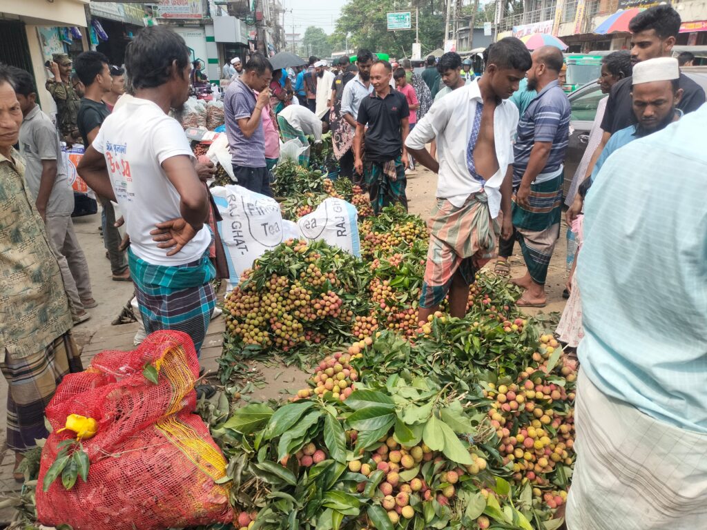 মাটিরাঙ্গার পাহাড়ি লিচুর কদর দেশজুড়ে