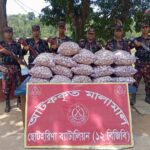 নৌপথে ভারতে পাচারের সময় রাঙামাটির বরকলের ১৬ বস্তা রসুন জব্দ করল বিজিবি