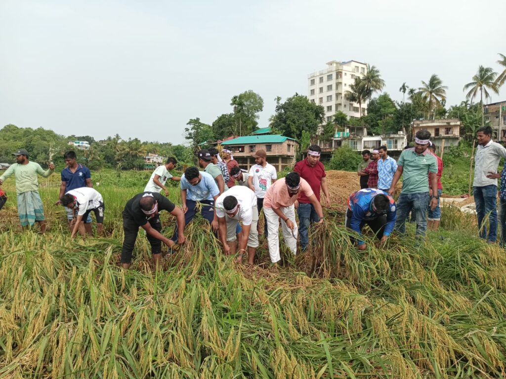 কৃষকের পাশে দাঁড়াল রাঙামাটি জেলা ছাত্রদল, মাঠে নেমে ধান কাটলেন নেতাকর্মীরা