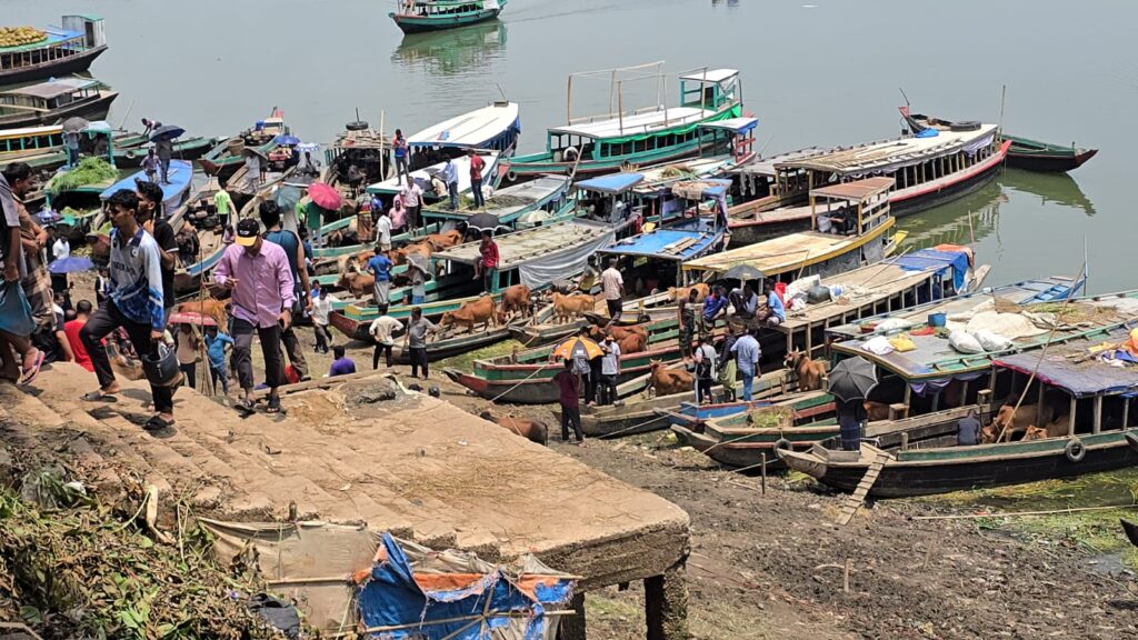 শেষ দিনে রাঙামাটির গরুর হাটে সংকট, ক্রেতাদের হতাশা