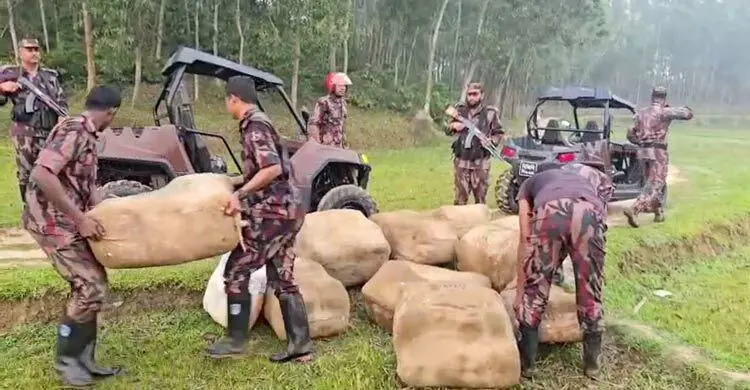 ফেনী সীমান্তে বিজিবির অভিযানে ৬২ লাখ টাকার ভারতীয় শাড়ি জব্দ
