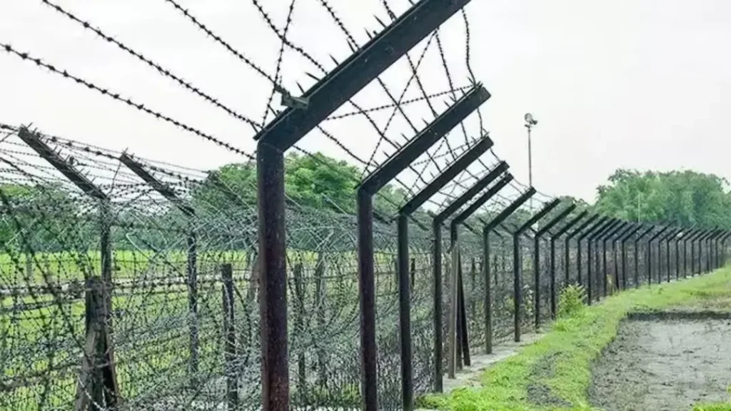 আত্মরক্ষায় দুই বাংলাদেশিকে গুলি করে হত্যা করা হয়েছে, জানাল ভারতের বিএসএফ