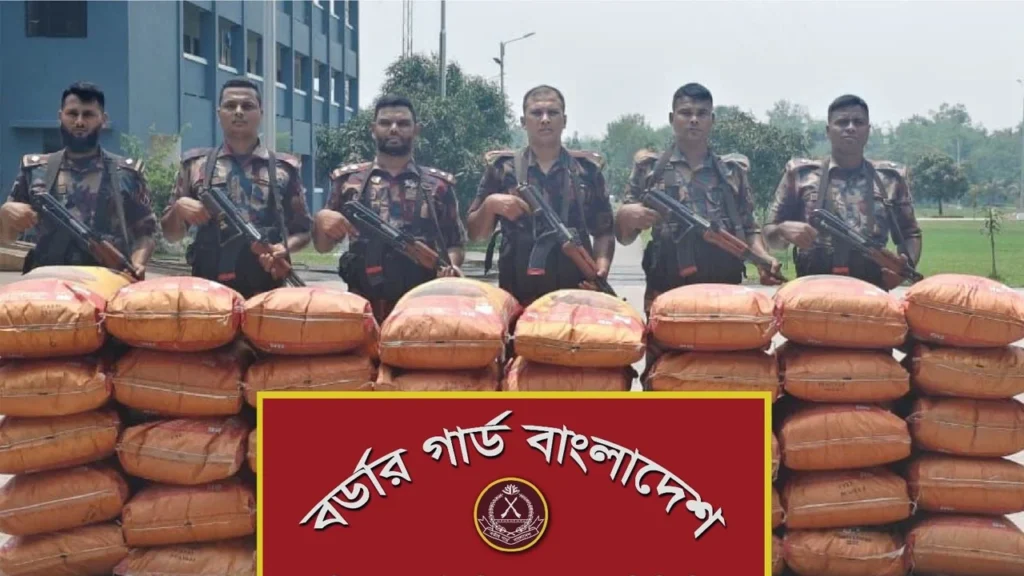 হবিগঞ্জে বিজিবির অভিযানে ১ কোটি ৩৪ লাখ টাকার ভারতীয় জিরা জব্দ