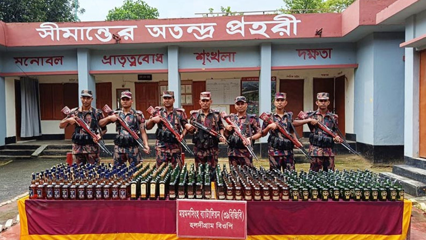 শেরপুর সীমান্তে বিজিবির পৃথক অভিযানে বিপুল ভারতীয় মদ জব্দ