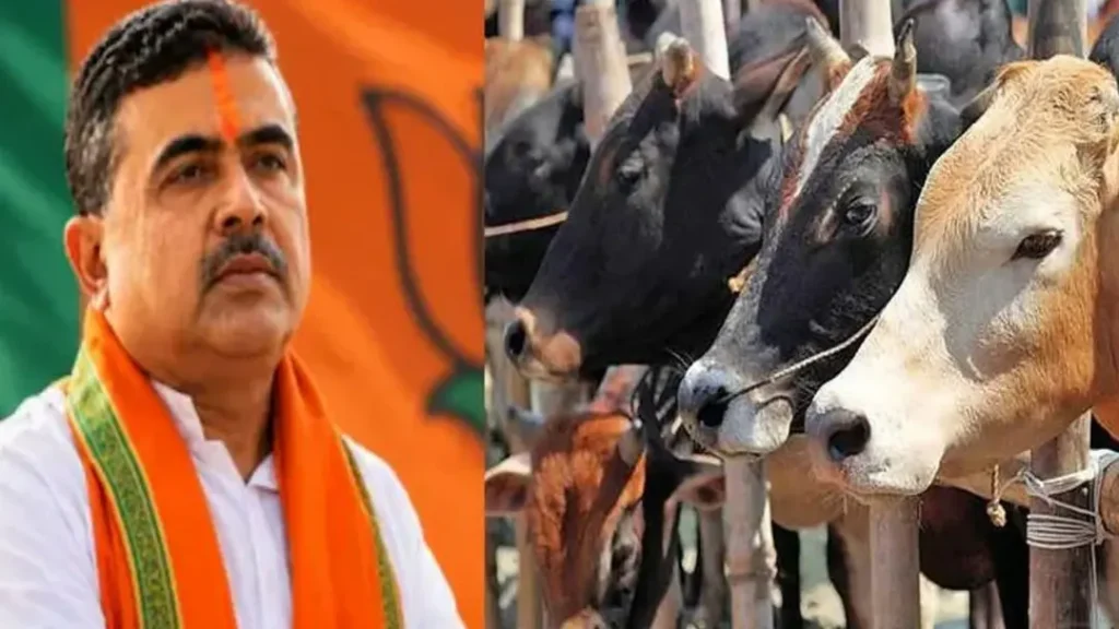 কোরবানির আগে পশু কিনছেন না মুসলিমরা, গরু বিক্রি নিয়ে পশ্চিমবঙ্গে হাহাকার