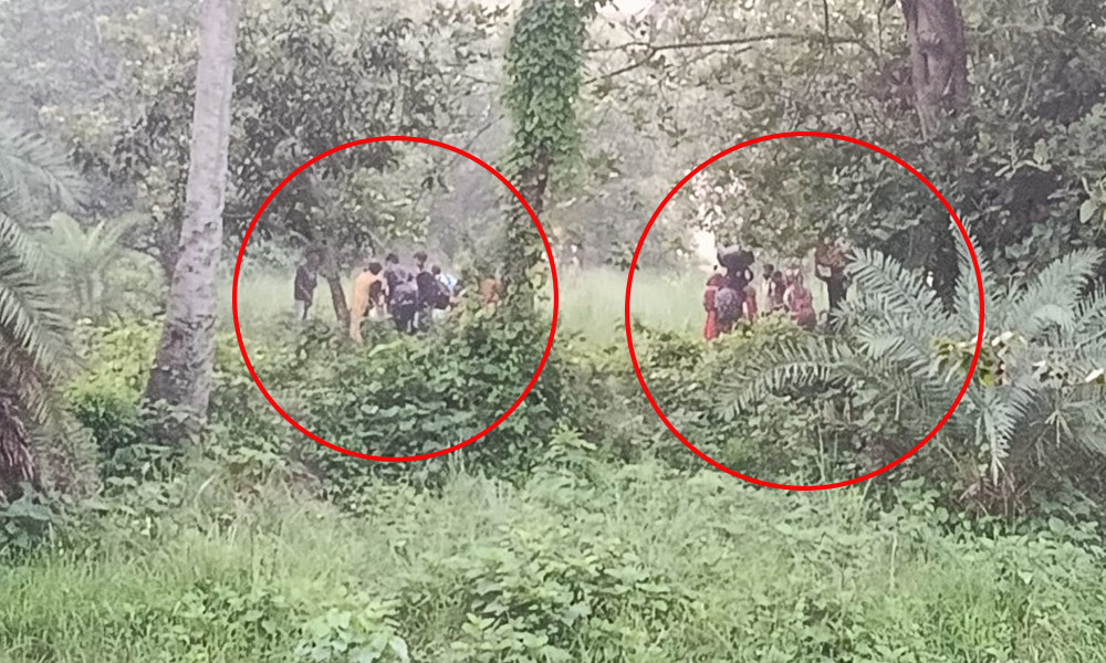 চাঁপাইনবাবগঞ্জ সীমান্তে বিএসএফের পুশ-ইনের চেষ্টা, শূন্য লাইনে ২৮ জনের অবস্থান