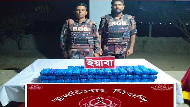 উখিয়া-টেকনাফ সীমান্তে ৫ লাখ ৭২ হাজার ইয়াবা জব্দ, আটক ১