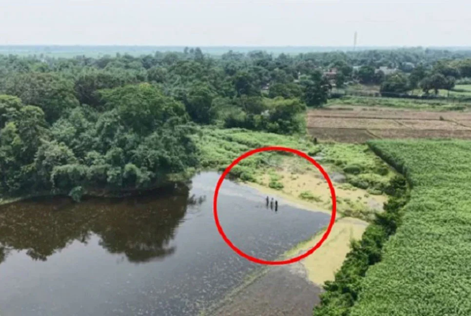 পাটক্ষেতের আড়ালে পুশইন, সীমান্তে বিজিবি-জনতার যৌথ পাহারা