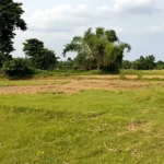 বকশীগঞ্জের শূন্যরেখায় মাটি কাটছে ভারতীয়রা, বিজিবির বাধা