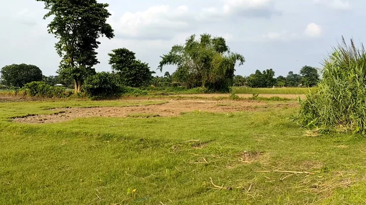 বকশীগঞ্জের শূন্যরেখায় মাটি কাটছে ভারতীয়রা, বিজিবির বাধা