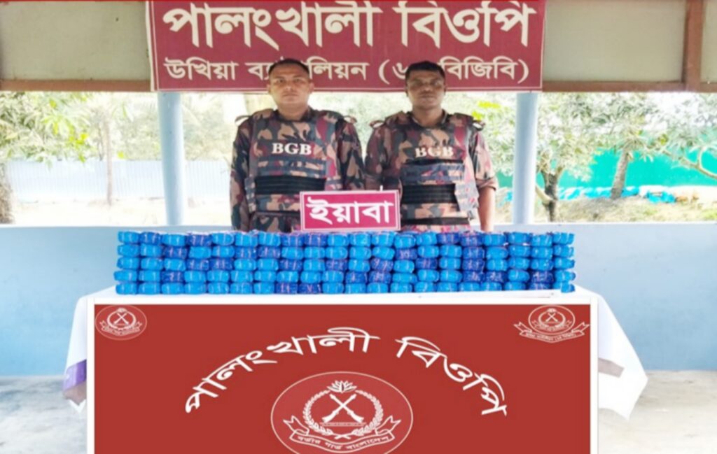 উখিয়ায় বিজিবির অভিযানে ৫ লাখ ৮০ হাজার ইয়াবা উদ্ধার, আটক ২