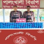 উখিয়ায় বিজিবির অভিযানে ৫ লাখ ৮০ হাজার ইয়াবা উদ্ধার, আটক ২