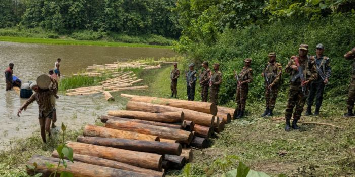 নানিয়ারচরে সেনাবাহিনীর অভিযানে চুরি হওয়া প্রায় ১৫ লাখ টাকার গোল কাঠ উদ্ধার