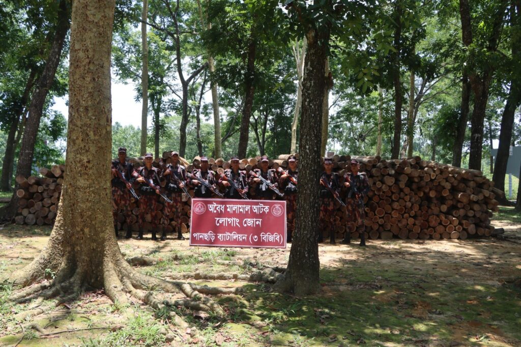 পানছড়িতে বিজিবির অভিযানে বিপুল পরিমাণ সেগুন কাঠ জব্দ